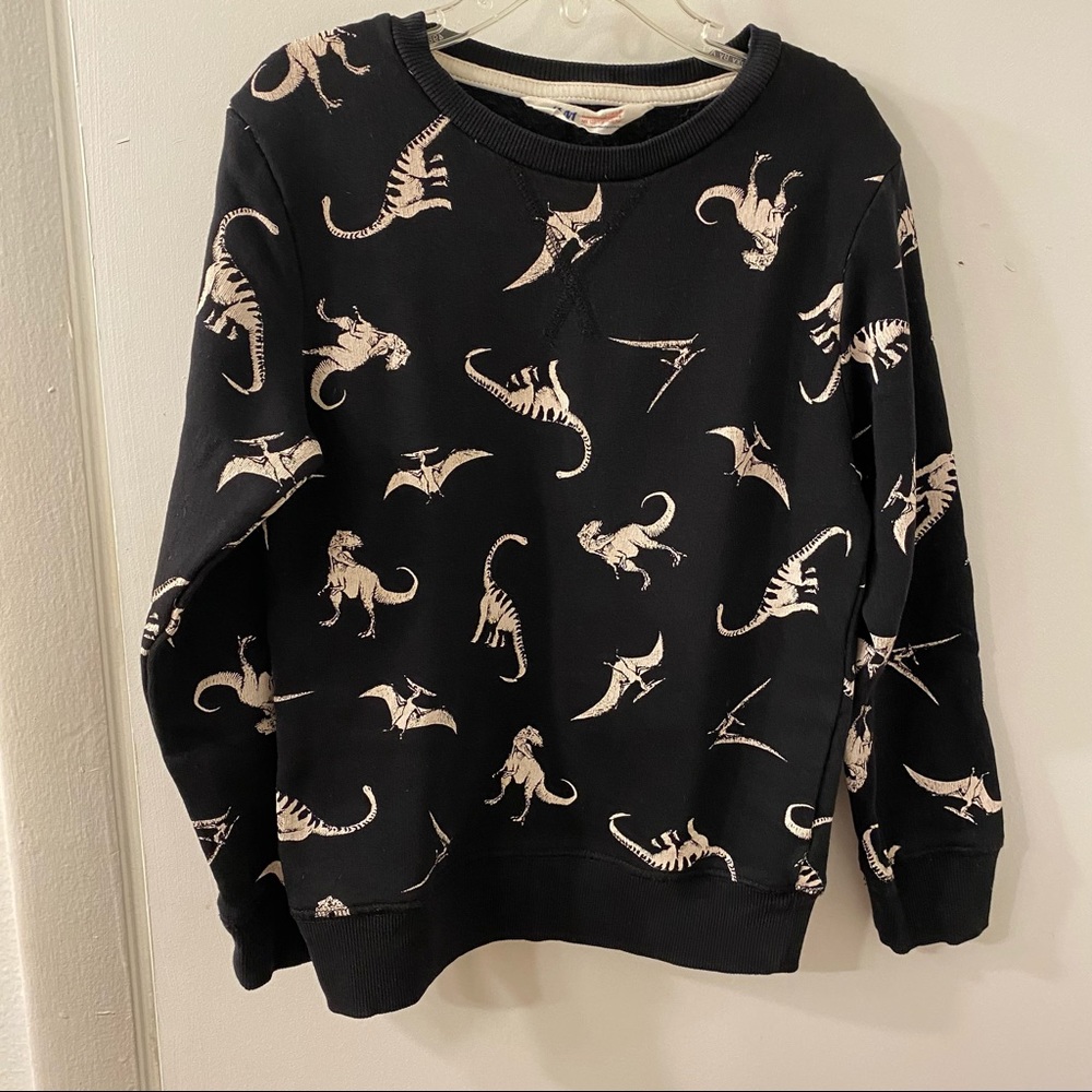 Boy’s Dinosaur Sweater